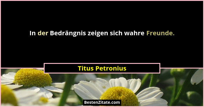 In der Bedrängnis zeigen sich wahre Freunde.... - Titus Petronius