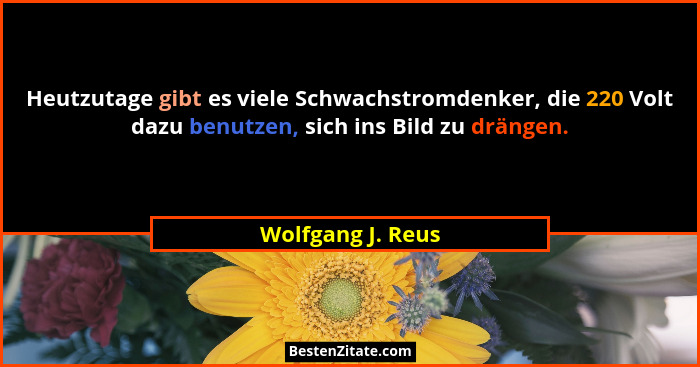 Heutzutage gibt es viele Schwachstromdenker, die 220 Volt dazu benutzen, sich ins Bild zu drängen.... - Wolfgang J. Reus