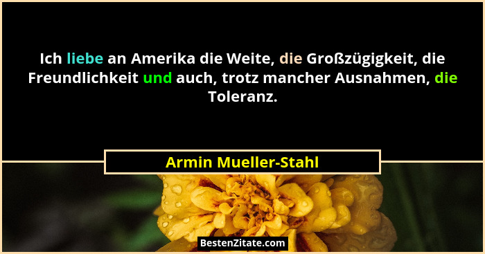 Ich liebe an Amerika die Weite, die Großzügigkeit, die Freundlichkeit und auch, trotz mancher Ausnahmen, die Toleranz.... - Armin Mueller-Stahl