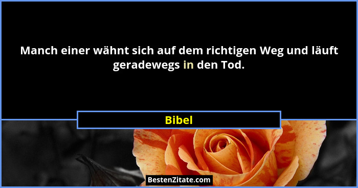 Manch einer wähnt sich auf dem richtigen Weg und läuft geradewegs in den Tod.... - Bibel