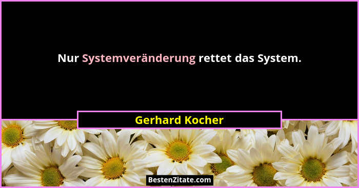 Nur Systemveränderung rettet das System.... - Gerhard Kocher