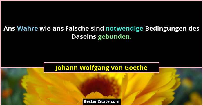 Ans Wahre wie ans Falsche sind notwendige Bedingungen des Daseins gebunden.... - Johann Wolfgang von Goethe