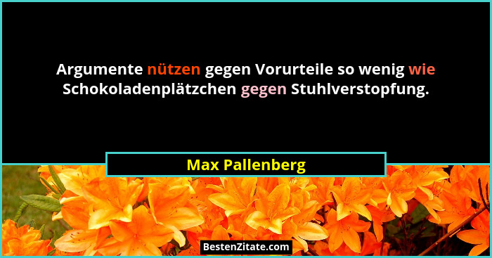 Argumente nützen gegen Vorurteile so wenig wie Schokoladenplätzchen gegen Stuhlverstopfung.... - Max Pallenberg