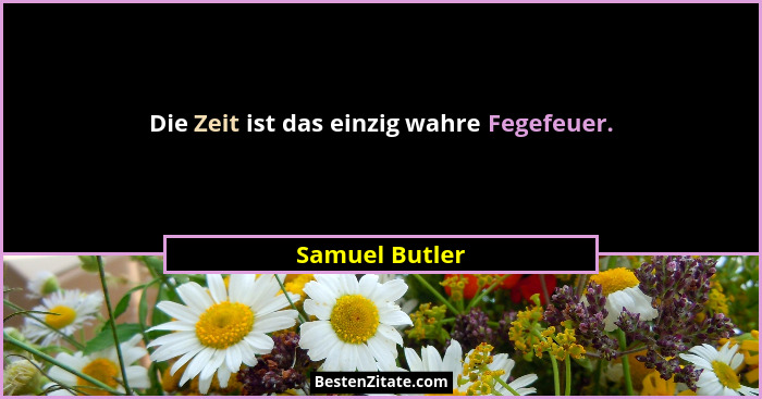 Die Zeit ist das einzig wahre Fegefeuer.... - Samuel Butler