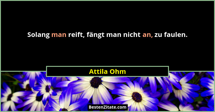 Solang man reift, fängt man nicht an, zu faulen.... - Attila Ohm