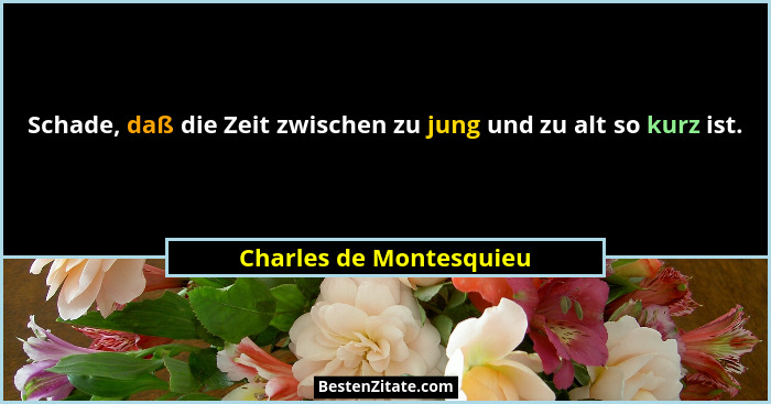 Schade, daß die Zeit zwischen zu jung und zu alt so kurz ist.... - Charles de Montesquieu