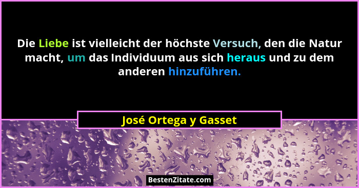 Die Liebe ist vielleicht der höchste Versuch, den die Natur macht, um das Individuum aus sich heraus und zu dem anderen hinzufü... - José Ortega y Gasset