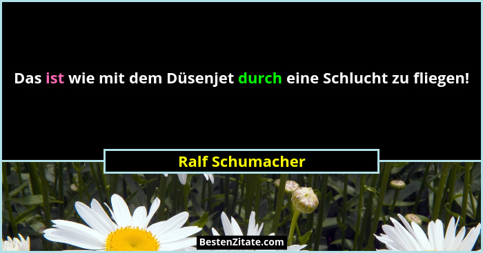 Das ist wie mit dem Düsenjet durch eine Schlucht zu fliegen!... - Ralf Schumacher