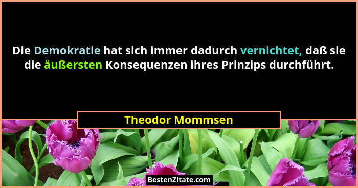 Die Demokratie hat sich immer dadurch vernichtet, daß sie die äußersten Konsequenzen ihres Prinzips durchführt.... - Theodor Mommsen