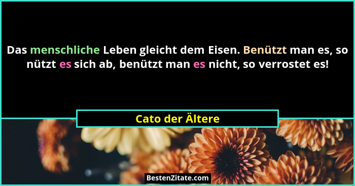 Das menschliche Leben gleicht dem Eisen. Benützt man es, so nützt es sich ab, benützt man es nicht, so verrostet es!... - Cato der Ältere