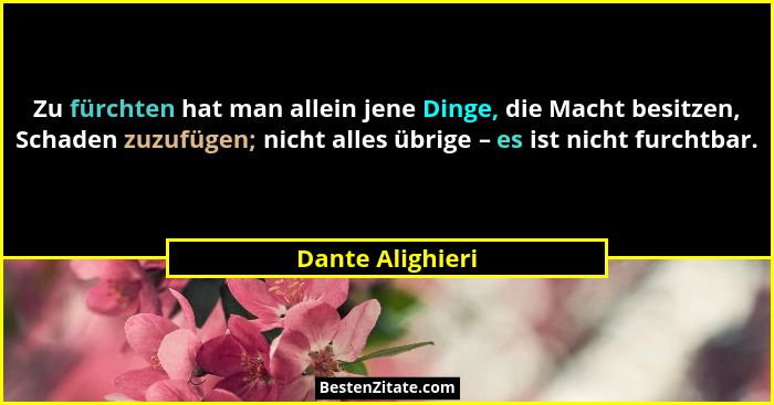 Zu fürchten hat man allein jene Dinge, die Macht besitzen, Schaden zuzufügen; nicht alles übrige – es ist nicht furchtbar.... - Dante Alighieri