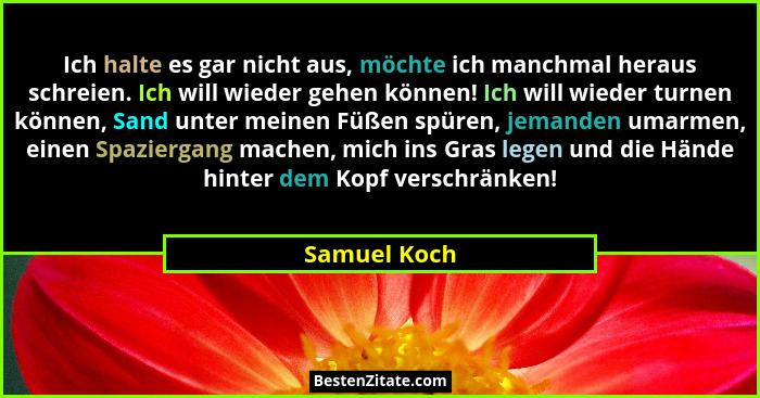 Ich halte es gar nicht aus, möchte ich manchmal heraus schreien. Ich will wieder gehen können! Ich will wieder turnen können, Sand unter... - Samuel Koch