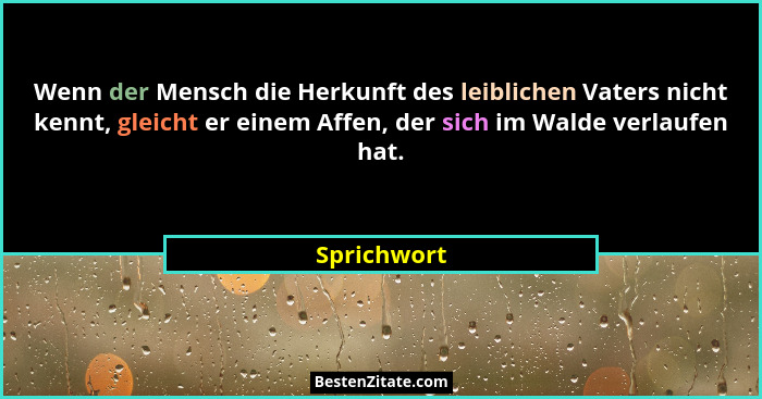 Wenn der Mensch die Herkunft des leiblichen Vaters nicht kennt, gleicht er einem Affen, der sich im Walde verlaufen hat.... - Sprichwort