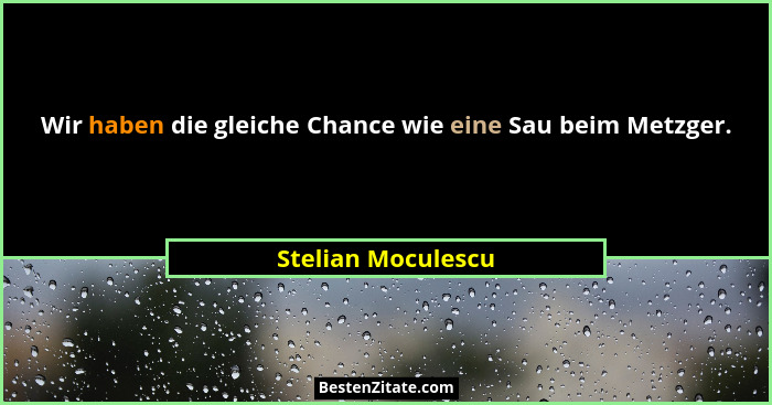 Wir haben die gleiche Chance wie eine Sau beim Metzger.... - Stelian Moculescu