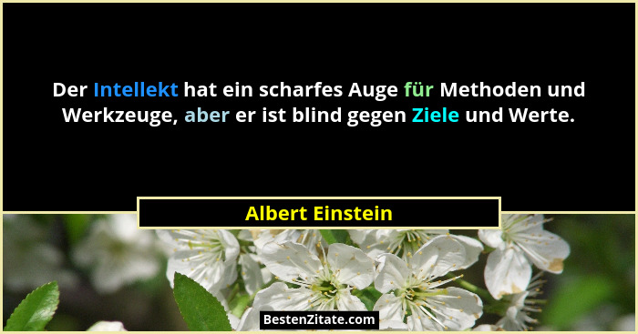 Der Intellekt hat ein scharfes Auge für Methoden und Werkzeuge, aber er ist blind gegen Ziele und Werte.... - Albert Einstein