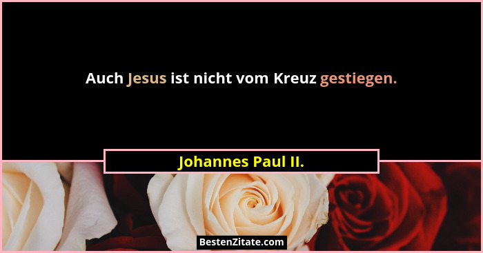 Auch Jesus ist nicht vom Kreuz gestiegen.... - Johannes Paul II.
