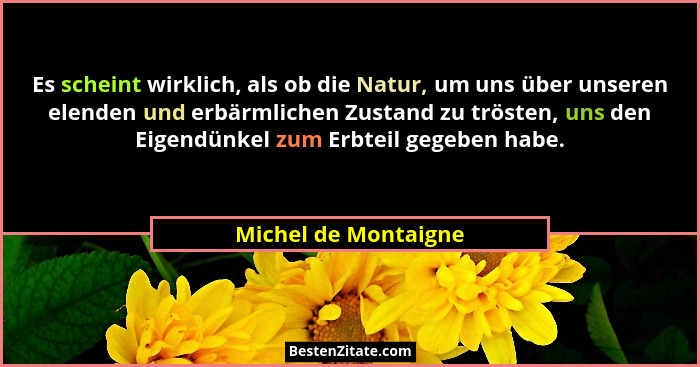 Es scheint wirklich, als ob die Natur, um uns über unseren elenden und erbärmlichen Zustand zu trösten, uns den Eigendünkel zum... - Michel de Montaigne