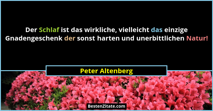 Der Schlaf ist das wirkliche, vielleicht das einzige Gnadengeschenk der sonst harten und unerbittlichen Natur!... - Peter Altenberg