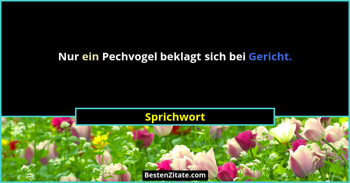 Nur ein Pechvogel beklagt sich bei Gericht.... - Sprichwort