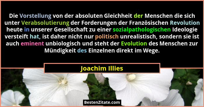 Die Vorstellung von der absoluten Gleichheit der Menschen die sich unter Verabsolutierung der Forderungen der Französischen Revolutio... - Joachim Illies