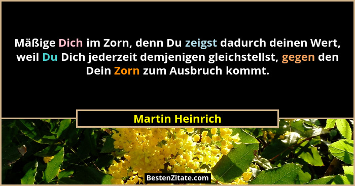 Mäßige Dich im Zorn, denn Du zeigst dadurch deinen Wert, weil Du Dich jederzeit demjenigen gleichstellst, gegen den Dein Zorn zum Au... - Martin Heinrich