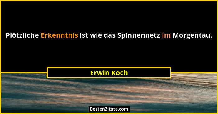 Plötzliche Erkenntnis ist wie das Spinnennetz im Morgentau.... - Erwin Koch