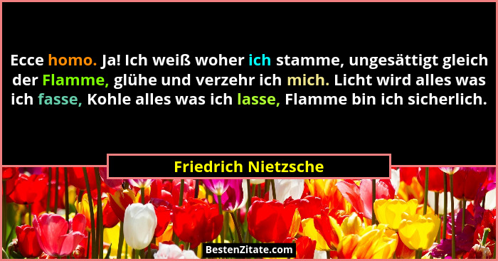 Ecce homo. Ja! Ich weiß woher ich stamme, ungesättigt gleich der Flamme, glühe und verzehr ich mich. Licht wird alles was ich fa... - Friedrich Nietzsche