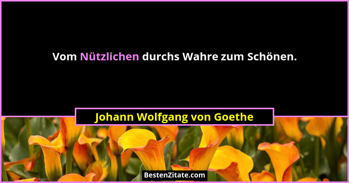 Vom Nützlichen durchs Wahre zum Schönen.... - Johann Wolfgang von Goethe