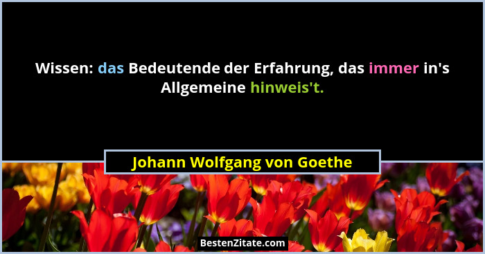 Wissen: das Bedeutende der Erfahrung, das immer in's Allgemeine hinweis't.... - Johann Wolfgang von Goethe