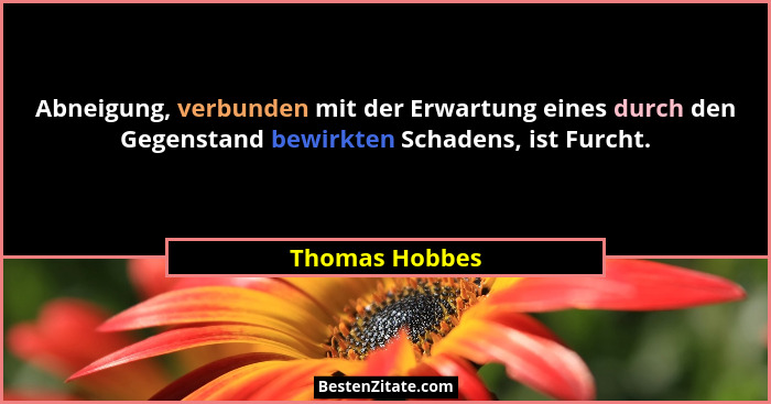 Abneigung, verbunden mit der Erwartung eines durch den Gegenstand bewirkten Schadens, ist Furcht.... - Thomas Hobbes