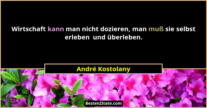 Wirtschaft kann man nicht dozieren, man muß sie selbst erleben  und überleben.... - André Kostolany