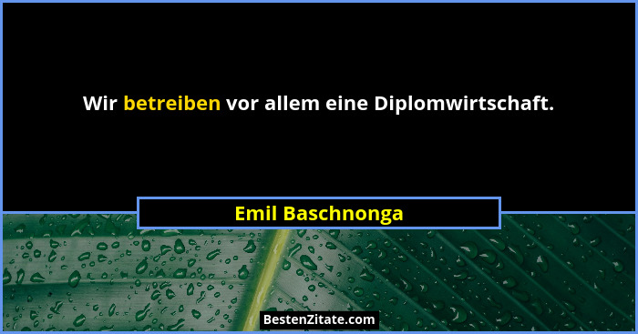 Wir betreiben vor allem eine Diplomwirtschaft.... - Emil Baschnonga