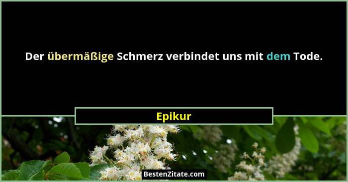 Der übermäßige Schmerz verbindet uns mit dem Tode.... - Epikur