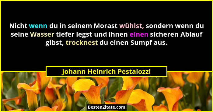 Nicht wenn du in seinem Morast wühlst, sondern wenn du seine Wasser tiefer legst und ihnen einen sicheren Ablauf gibst, t... - Johann Heinrich Pestalozzi