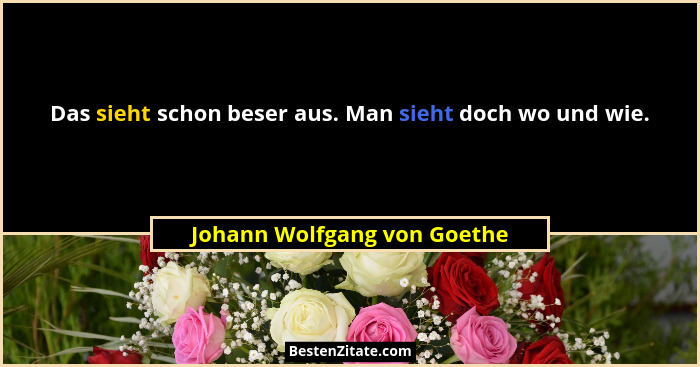 Das sieht schon beser aus. Man sieht doch wo und wie.... - Johann Wolfgang von Goethe