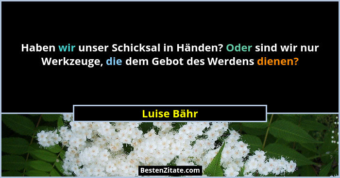 Haben wir unser Schicksal in Händen? Oder sind wir nur Werkzeuge, die dem Gebot des Werdens dienen?... - Luise Bähr