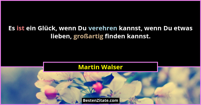 Es ist ein Glück, wenn Du verehren kannst, wenn Du etwas lieben, großartig finden kannst.... - Martin Walser