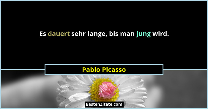 Es dauert sehr lange, bis man jung wird.... - Pablo Picasso