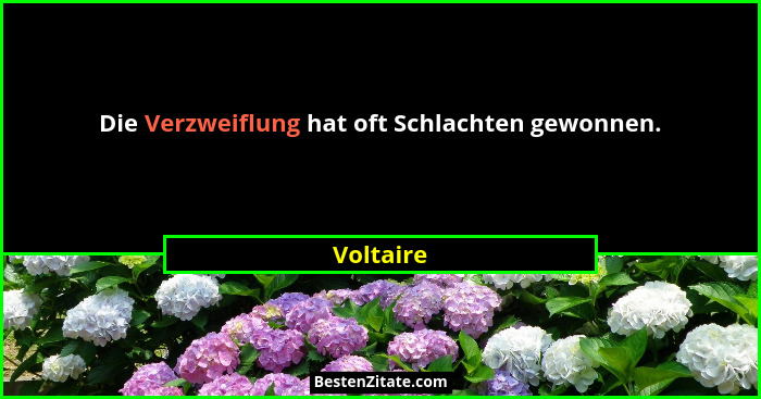 Die Verzweiflung hat oft Schlachten gewonnen.... - Voltaire