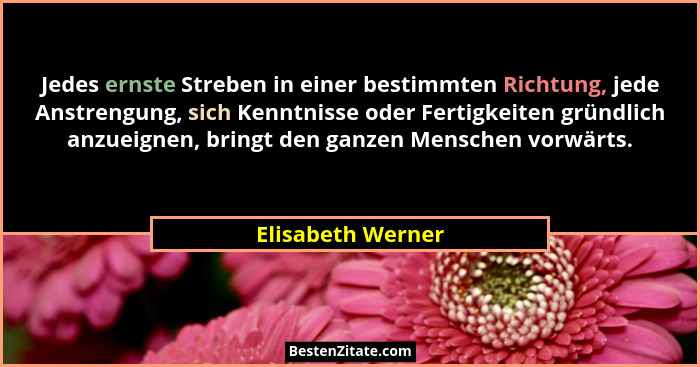 Jedes ernste Streben in einer bestimmten Richtung, jede Anstrengung, sich Kenntnisse oder Fertigkeiten gründlich anzueignen, bringt... - Elisabeth Werner