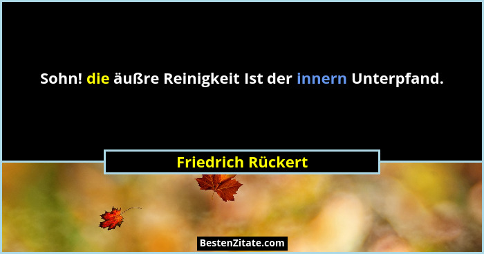 Sohn! die äußre Reinigkeit Ist der innern Unterpfand.... - Friedrich Rückert