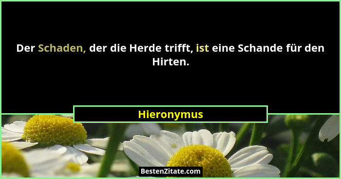Der Schaden, der die Herde trifft, ist eine Schande für den Hirten.... - Hieronymus