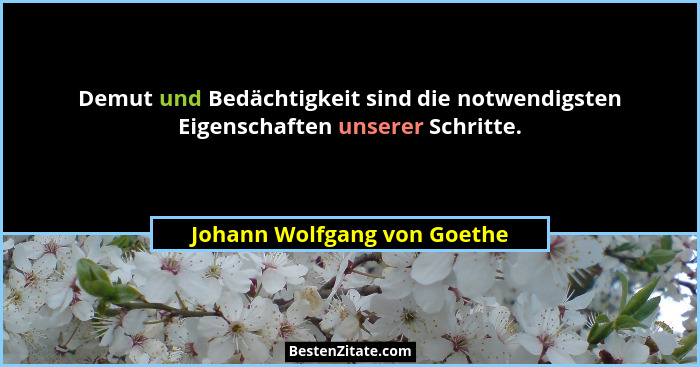 Demut und Bedächtigkeit sind die notwendigsten Eigenschaften unserer Schritte.... - Johann Wolfgang von Goethe