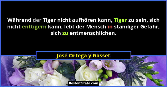 Während der Tiger nicht aufhören kann, Tiger zu sein, sich nicht enttigern kann, lebt der Mensch in ständiger Gefahr, sich zu e... - José Ortega y Gasset