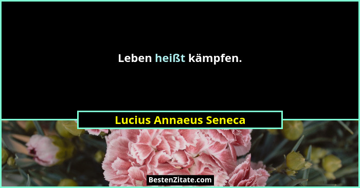 Leben heißt kämpfen.... - Lucius Annaeus Seneca