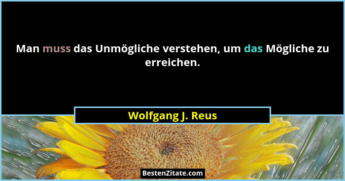 Man muss das Unmögliche verstehen, um das Mögliche zu erreichen.... - Wolfgang J. Reus