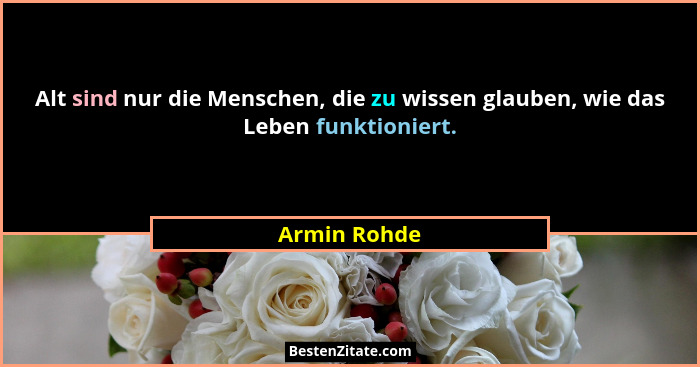 Alt sind nur die Menschen, die zu wissen glauben, wie das Leben funktioniert.... - Armin Rohde