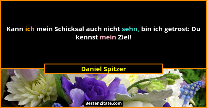 Kann ich mein Schicksal auch nicht sehn, bin ich getrost: Du kennst mein Ziel!... - Daniel Spitzer