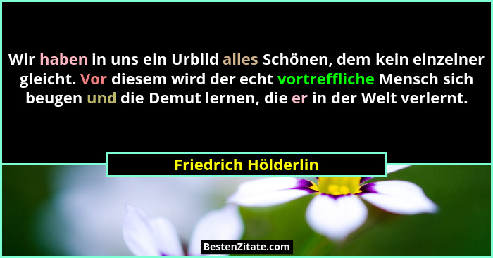 Wir haben in uns ein Urbild alles Schönen, dem kein einzelner gleicht. Vor diesem wird der echt vortreffliche Mensch sich beugen... - Friedrich Hölderlin