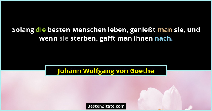 Solang die besten Menschen leben, genießt man sie, und wenn sie sterben, gafft man ihnen nach.... - Johann Wolfgang von Goethe